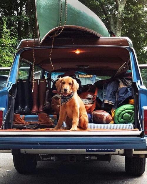 Explore the Road Together