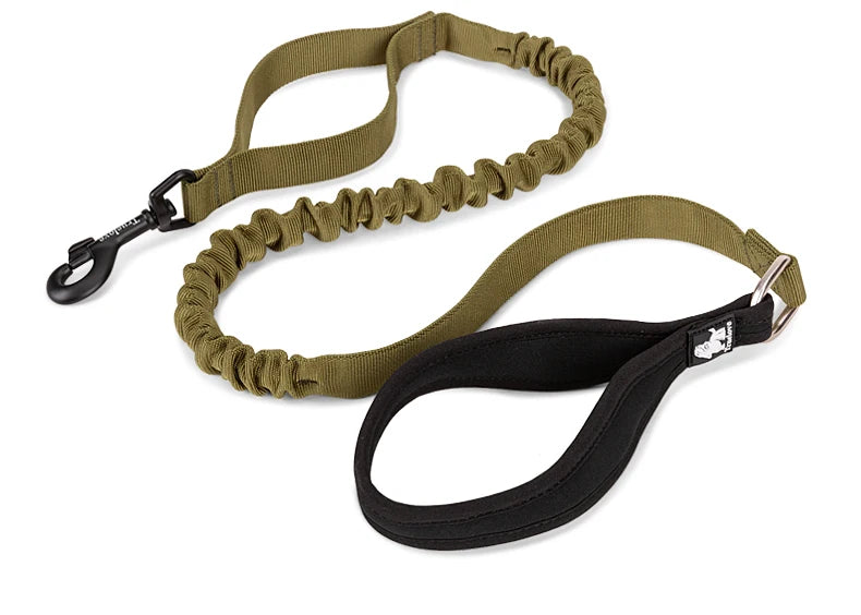 Adventure Pro Elastic Dog Leash – Comfort and Control for Every Walk