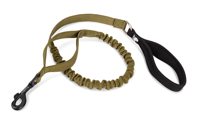 Adventure Pro Elastic Dog Leash – Comfort and Control for Every Walk