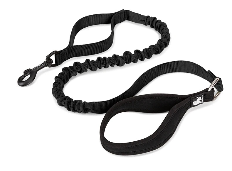 Adventure Pro Elastic Dog Leash – Comfort and Control for Every Walk