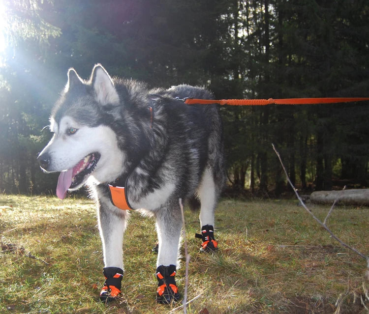 Waterproof Dog Boots – Anti-Slip, Reflective and Protective Shoes for Dogs