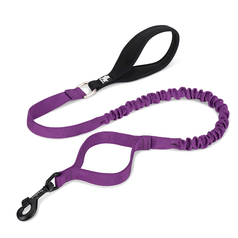 Adventure Pro Elastic Dog Leash – Comfort and Control for Every Walk