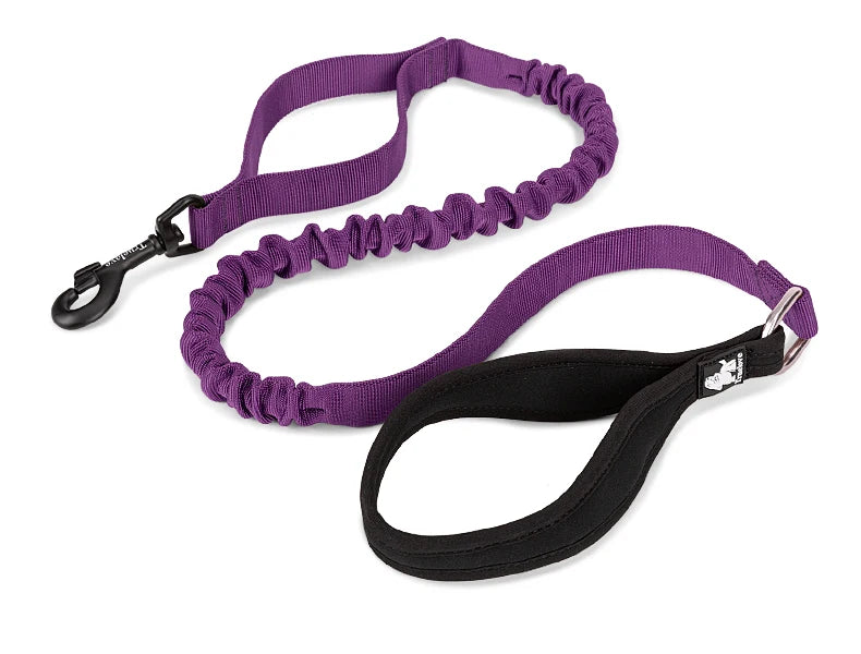 Adventure Pro Elastic Dog Leash – Comfort and Control for Every Walk