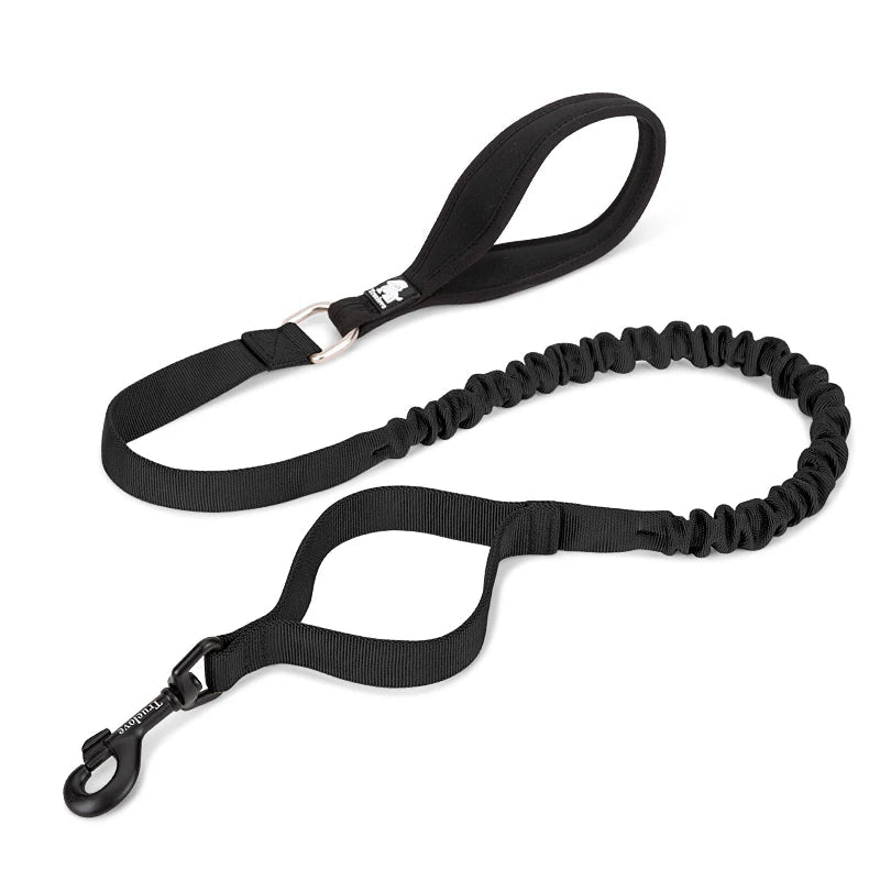 Adventure Pro Elastic Dog Leash – Comfort and Control for Every Walk