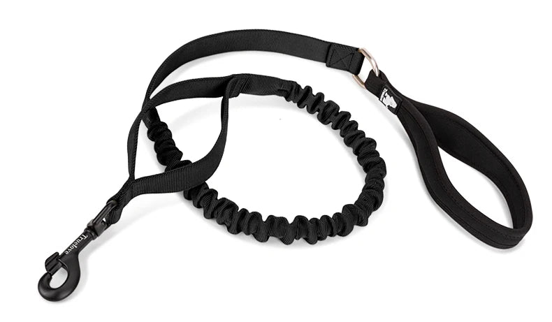 Adventure Pro Elastic Dog Leash – Comfort and Control for Every Walk