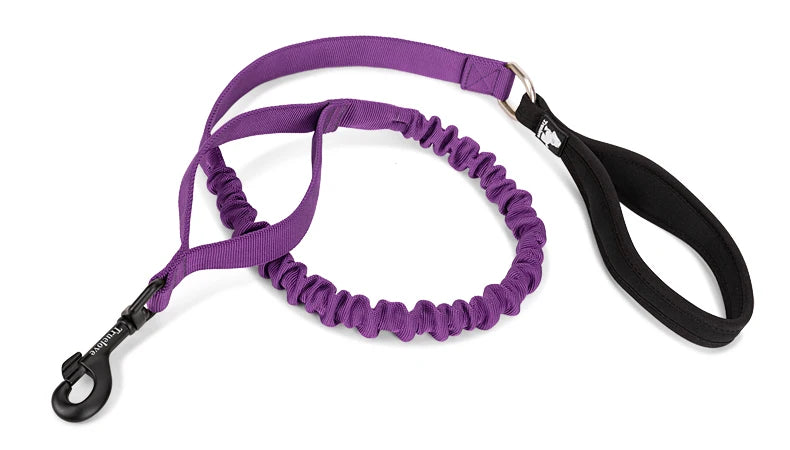Adventure Pro Elastic Dog Leash – Comfort and Control for Every Walk