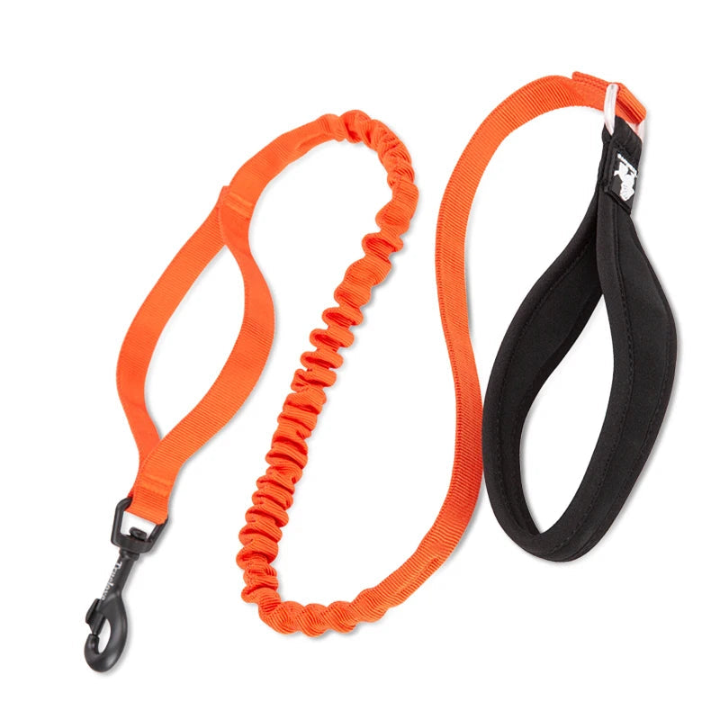 Adventure Pro Elastic Dog Leash – Comfort and Control for Every Walk
