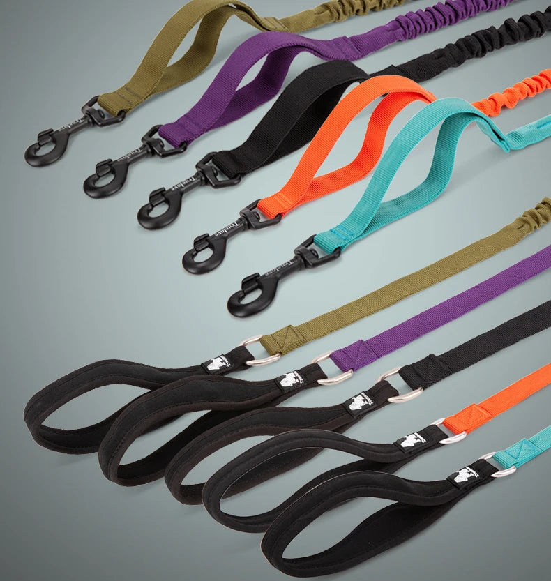 Adventure Pro Elastic Dog Leash – Comfort and Control for Every Walk