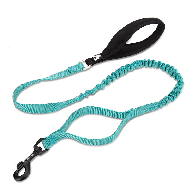 Adventure Pro Elastic Dog Leash – Comfort and Control for Every Walk
