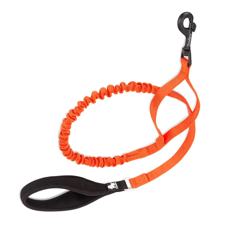 Adventure Pro Elastic Dog Leash – Comfort and Control for Every Walk