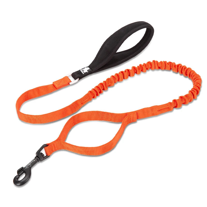Adventure Pro Elastic Dog Leash – Comfort and Control for Every Walk