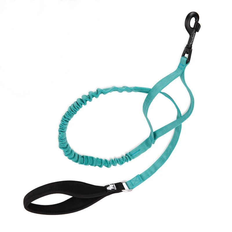Adventure Pro Elastic Dog Leash – Comfort and Control for Every Walk