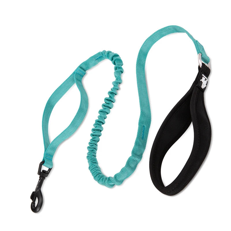 Adventure Pro Elastic Dog Leash – Comfort and Control for Every Walk
